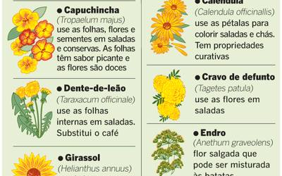 FLORES COMESTIVEIS