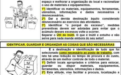 O PROGRAMA 5S AJUDA VOCE A BOTAR ORDEM NA SUA OFICINA DE TRABALHO E A GANHAR PRODUTIVIDADE