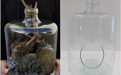 Criacao de terrarios com recipientes de video – tendencia