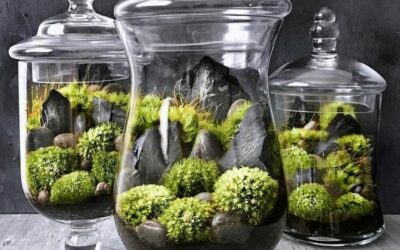 INOVANDO OS PRODUTOS