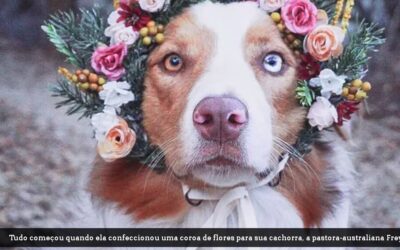 COROAS DE FLORES PARA PETS – um novo nicho de mercado