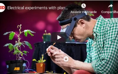 EXPERIENCIA COM ELETRICIDADE EM PLANTAS – BEM INTERESSANTE!