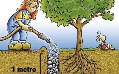 INOVACAO EM PAISAGISMO