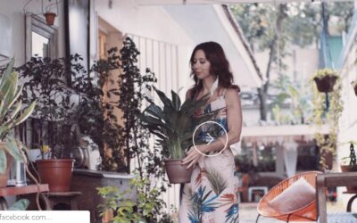 POR QUE AS PESSOAS COMPRAM FLORES?