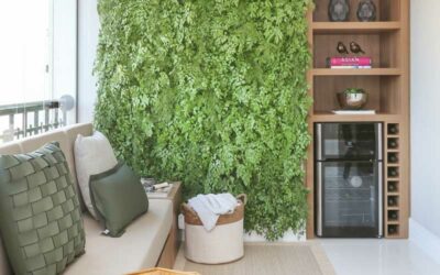 PLANTAS INDOOR CHEGARAM PARA FICAR!