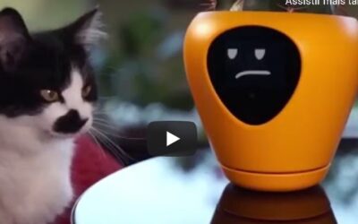 INOVACAO – O VASO QUE ENSINA O CONSUMIDOR A COMO CUIDA DE SUA PLANTA