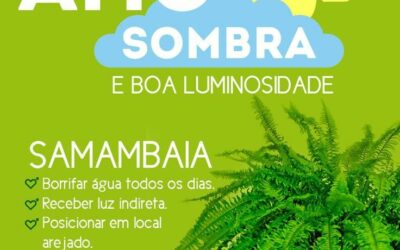 MODELO DE SINALIZACAO DE GONDOLA PARA GARDENS