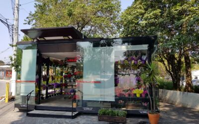 NOVOS MODELOS DE NEGOCIO – REVITALIZACAO DE QUIOSQUES DE FLORES EM SAO PAULO