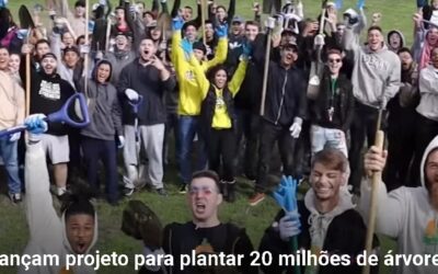 MODELO DE CAMPANHA DE RESPONSABILIDADE SOCIAL PARA GARDENS