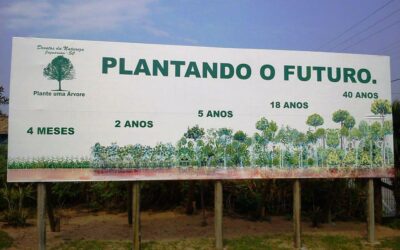 PORQUE O FUTURO COMEÇA A CADA DIA!