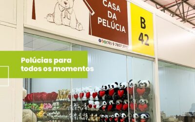 NOTICIAS CEAFLOR – PORQUE PELUCIA VENDE!