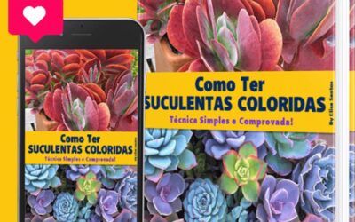 APRENDA COMO FAZER SUCULENTAS COLORIDAS