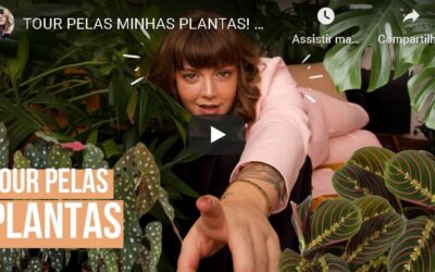 TOUR PELAS PLANTAS DO APARTAMENTO