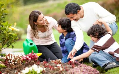 HORTICULTURA E HOME GARDENING CRIARÃO UM MERCADO DE OPORTUNIDADES PARA UM MESMO MODELO DE VAREJO