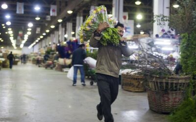 SITUAÇÃO DE MERCADO – ARGENTINA