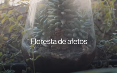 FLORESTA DE AFETOS