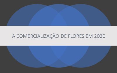 O QUE ESPERAR DA COMERCIALIZAÇÃO DE FLORES ATE O FINAL DO ANO?