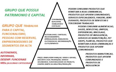 A CONCENTRAÇÃO DE RENDA E A INFORMALIDADE COMO DIRETRIZES DE ESTRATEGIA DAS LOJAS