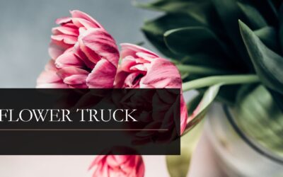 NOVA LEITURA DO MODELO FLOWER TRUCK