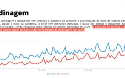 O MERCADO DE PLANTAS TEM GRANDE CRESCIMENTO PÓS PANDEMIA!