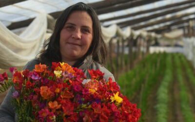 PERFIL DA PRODUÇÃO DE FLORES NA ARGENTINA