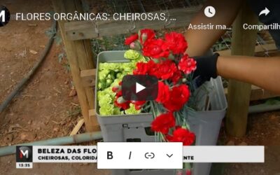 FLORES ORGANICAS E CHEIROSAS!