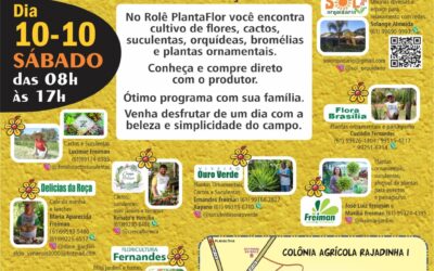 ROTEIRO DE TURISMO RURAL EM PROPRIEDADES DE FLORES NO DF MOSTRA UMA OPORTUNIDADE PARA O PRODUTOR REGIONAL