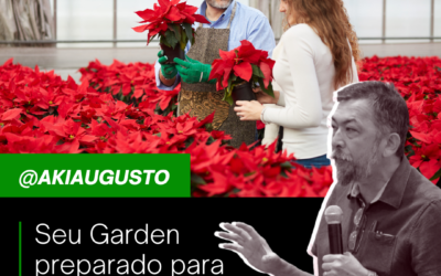 PESSOAL, ESSE É O LINK DA LIVE QUE REALIZEI SOBRE DICAS PARA VENDAS DE FLORES NAS FESTAS DE FINAL DE ANO