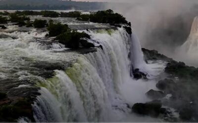 PROJETO FLORES PELO BRASIL – uma iniciativa para valorizar a decoração com flores, os profissionais do ramo e as flores nos momentos especiais – 3o episodio