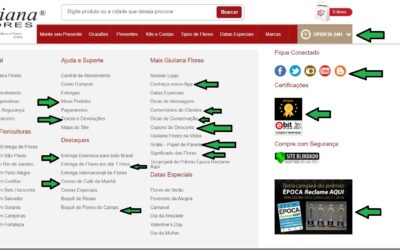 VEJAM AS FUNCIONALIDADES NO SITE DA GIULLIANA FLORES – O ECOMMERCE NAO É TAO SIMPLES ASSIM…