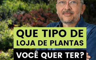 TIPOS DE LOJAS PARA VENDA DE PLANTAS (ESCOLHA O MELHOR MODELO PARA VOCE)