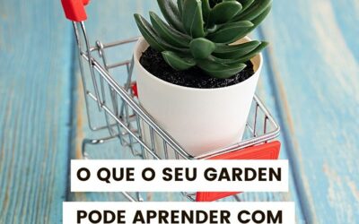 COMO CONCORRER COM SUPERMERCADOS