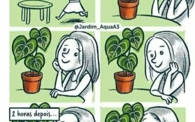 O CONSUMIDOR TEM UMA RELACAO HUMANIZADA COM SUAS PLANTAS E PPR ISSO SUA LOJA DEVE HUMANIZAR A APRESENTACAO DE SEUS PRODUTOS!