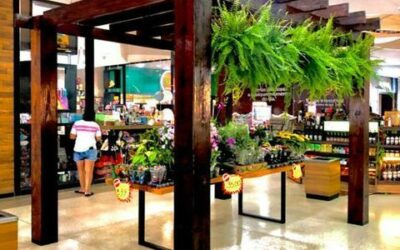 MODELO DE LOJA EM SHOPPING – ORQUIDARIO SARA