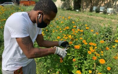 Homem cria fazendas de flores para manter jovens longe da violência