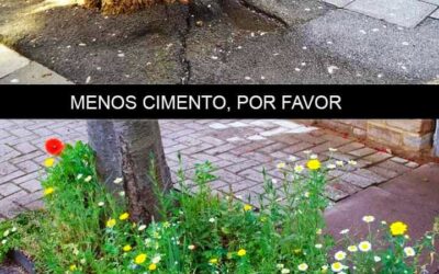 QUE TAL CRIAR UMA CAMPANHA PARA QUE AS PESSOAS ADOTEM OS JARDINS DO BAIRRO?