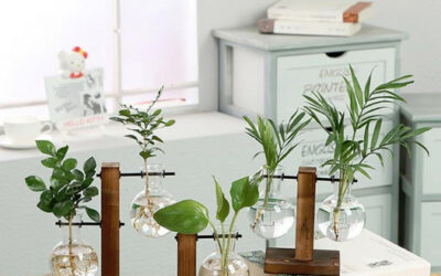 INOVE COM PRODUTOS DE DECORAÇÃO E PLANTAS