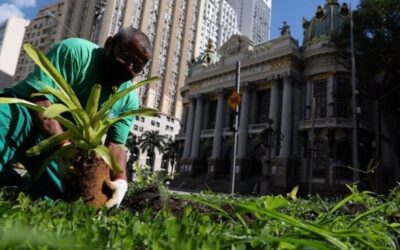 Rio de Janeiro lança “fábrica” de árvores