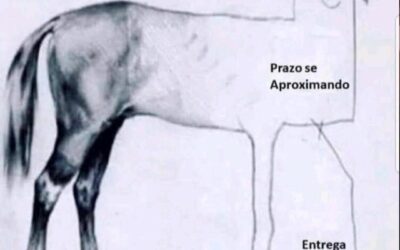 PROBLEMAS OPERACIONAIS ESTAO ATRAPALHANDO SUAS ENTREGAS?