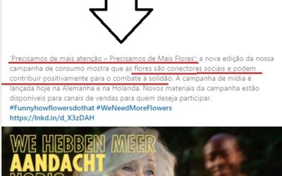 CAMPANHA TRABALHA O PAPEL DAS FLORES COMO COMBATE DA SOLIDAO E DO REFORÇO DOS RELACIONAMENTOS PRIMARIOS PARA ALAVANCAR AS VENDAS DE FINAL DE ANO