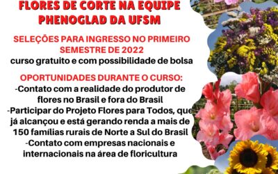 UMA OPORTUNIDADE PARA QUEM QUER SE ESPECIALIZAR NA PRODUÇÃO