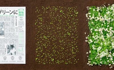 Papel de jornal japonês vira flores para abelhas