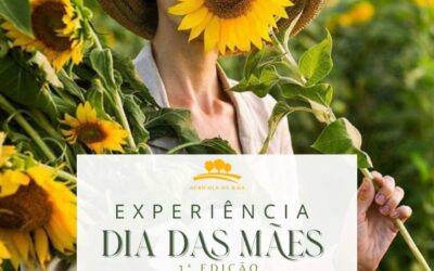 OLHA ESSA EXPERIENCIA NO PARQUE DOS HEMEROCALLIS EM JOINVILLE!