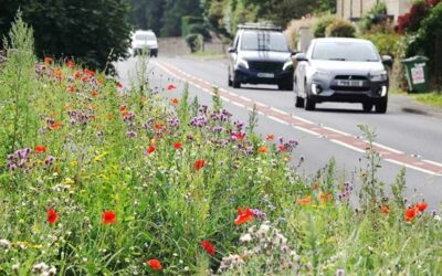 Vila inglesa usa flores para combater o excesso de velocidade