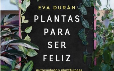 Conheça o Plantfulness – um conceito que pode mudar seu estilo de trabalhar com plantas