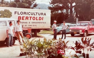 ANTES ERA A FALTA DE PRODUTOS… AGORA OS SUPERMERCADOS!