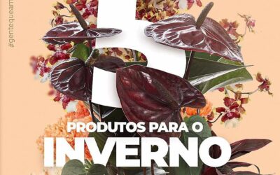 DE MOTIVOS – PLANTAS PARA INVERNO!