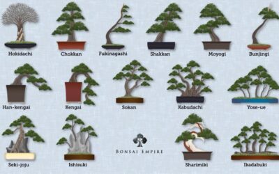 ESTILOS PARA FAZER UM BONSAI