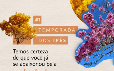 COMEÇA A TEMPORADA DOS IPES!