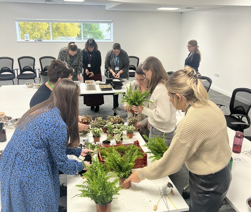 IDEIA – OFICINA DE TERRARIO EM EMPRESAS